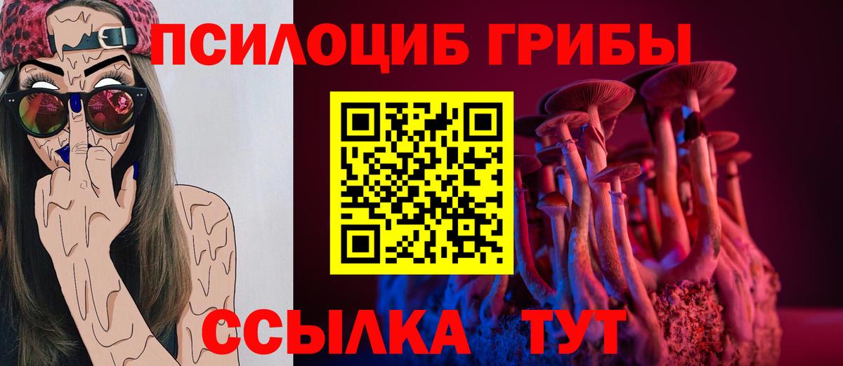 Псилоцибиновые грибы Psilocybe  Вход с VPN  Рассказово  Галлюциногенные грибы GOLDEN TEACHER 